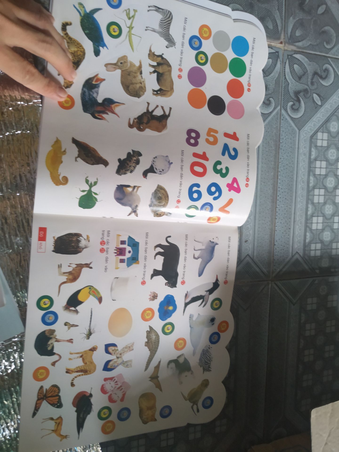 Mình chọn đúng chủ đề về hao, màu sắc  rực rỡ luôn. Hình ảnh rõ nét, màu sắc chân thực, đầy đủ các loại hoa quả, gồm hình ảnh, ,tiếng anh, phiên âm, tiếng việt. Bé nào thuộc trí thông minh về hình ảnh thì quá tuyệt luôn. Sách khổ lớn, bìa dày, dễ lật giở. Một món quà tuyệt vời cho các con. Rất hài lòng.