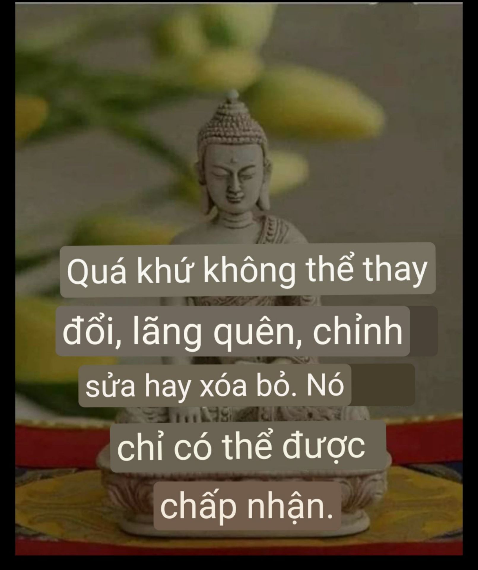 bìa sách đẹp, giấy tốt, mua rẻ hơn trong nhà sách. giao hàng nhanh, đóng gói kỹ càng. good!