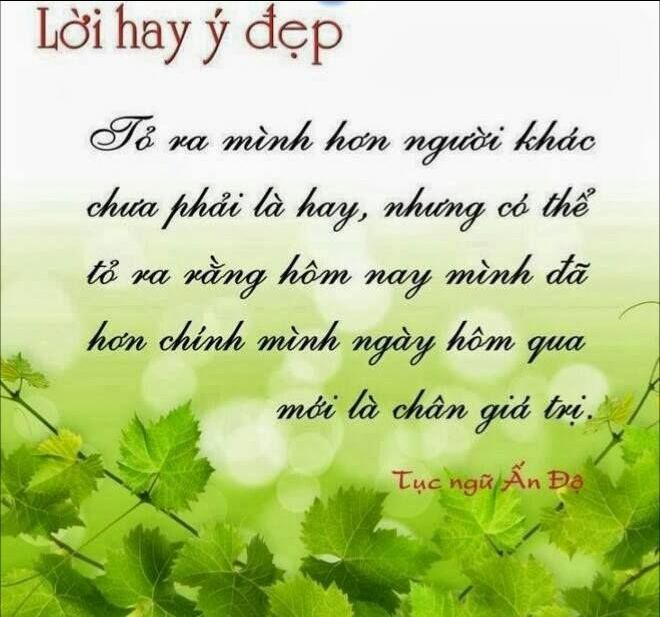 Sản phẩm chất lượng, đóng gói tốt, giao hàng nhanh.