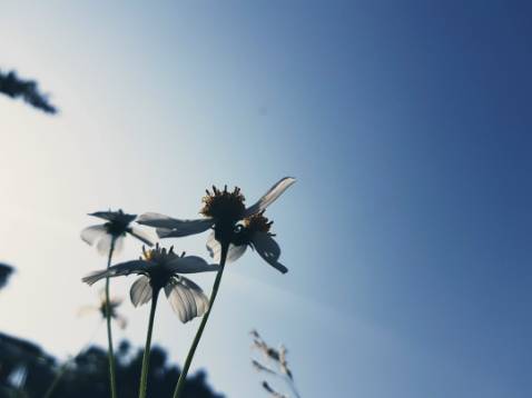 Hàng tốt . Mua lân đầu rát ưng nên mua thêm