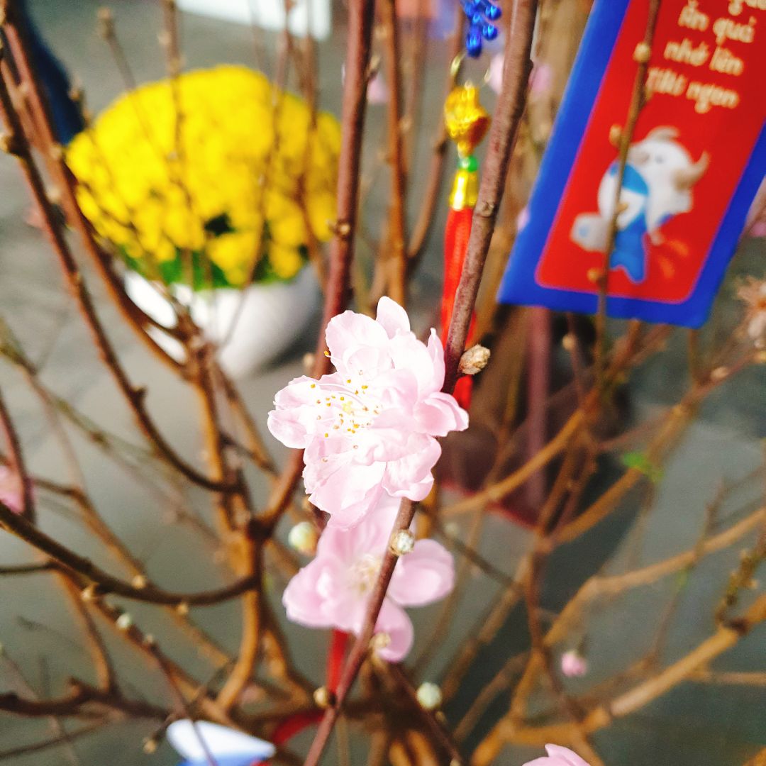 sách đẹp và giao hàng nhanh chóng