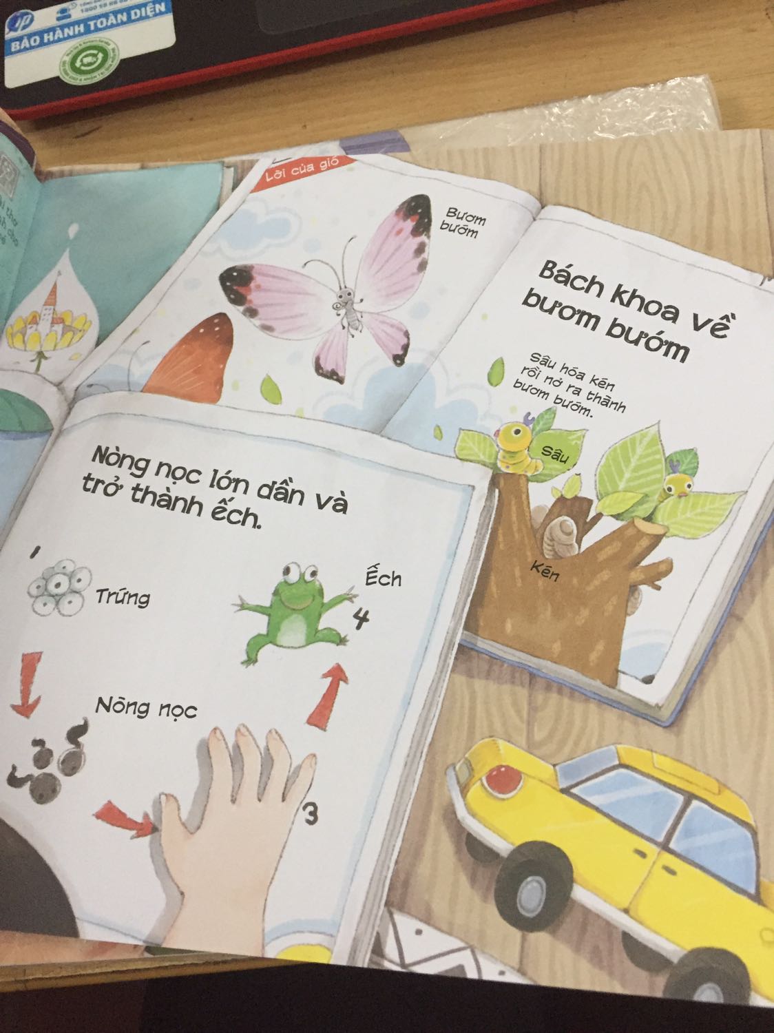 Mình nhận được sách rất nhanh, hôm qua đặt hôm nay đã có rồi. Bé nhà mình rất thích. Nội dung dễ hiểu phù hợp với bé nhà mình 4 tuổi.