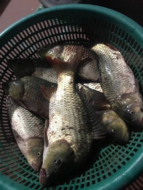 Sản phẩm như hình, giao hàng nhanh, chất lượng chưa sử dụng, ok