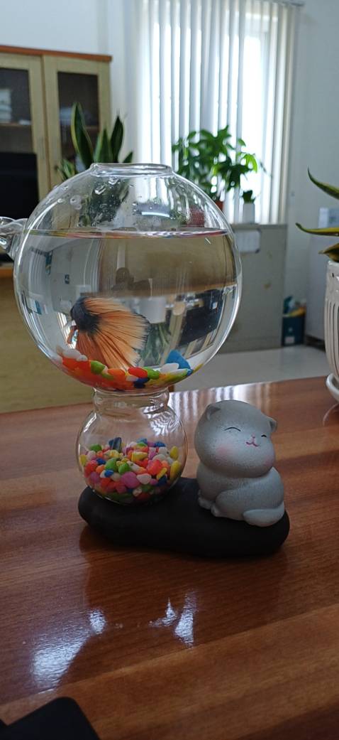 Sách có nội dung hay, bản in đẹp, giấy tốt