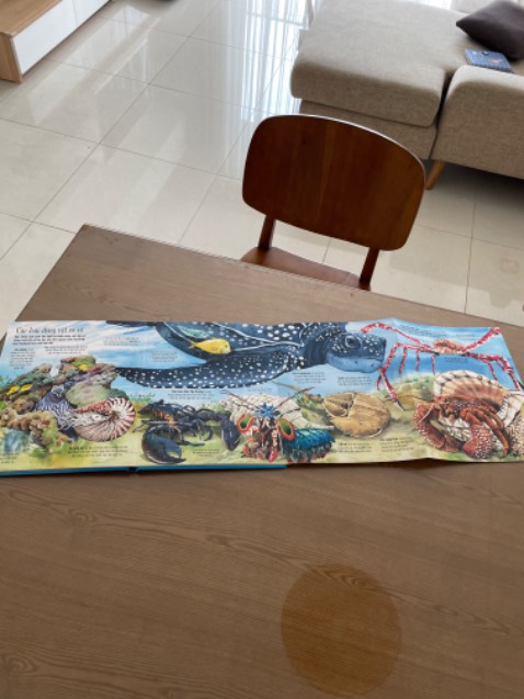 Giao hàng nhanh, đóng gói cẩn thận, sách in đẹp, hình ảnh bắt mắt, sống động. nội dung dịch khá tốt