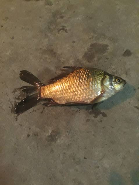 Đã nhận được hàng OK lắm