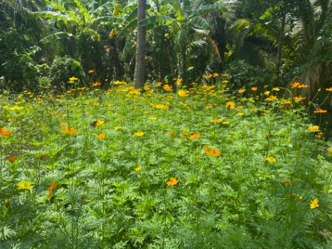 Đúng chính hãng
Tốt, nên mua
Chụp ảnh ok