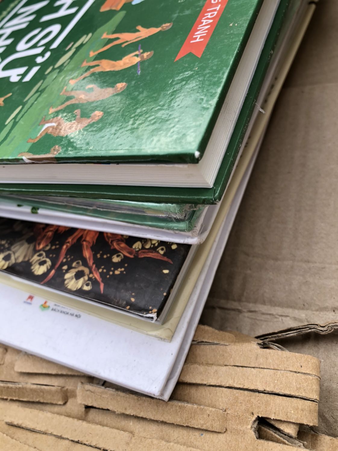 Toàn bộ sách mình mua đợt này của tiki đều móp méo, bẩn và 1 cuốn bị rách! Mình mua hàng của tiki 6-7 năm nay rồi chưa bao giờ thất vọng thế này! Tiki khiến mình đang cân nhắc có nên tiếp tục hay không?! Mình có quay video lại trước khi mở, mình sẵn sàng đối chứng.