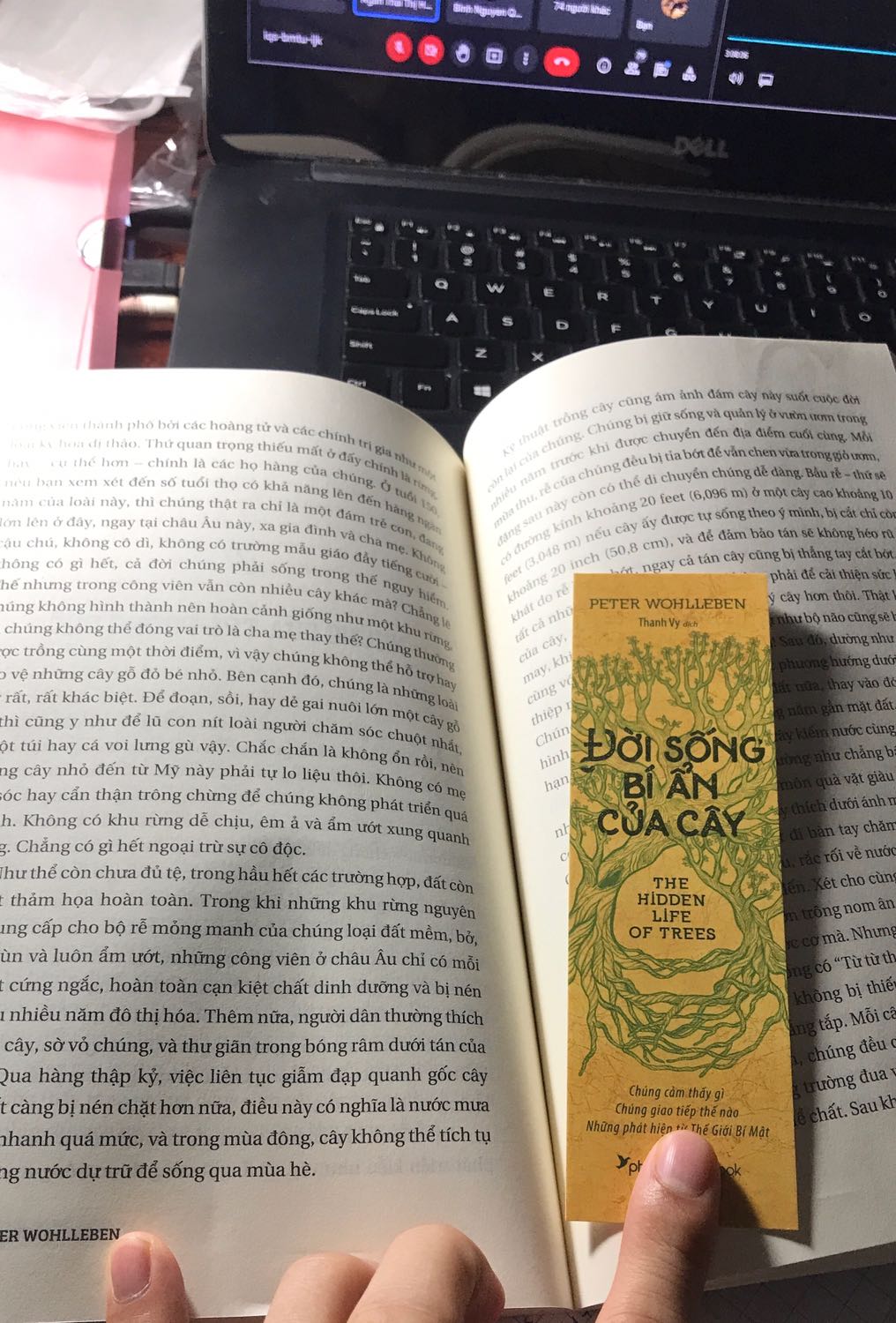 Quyển này nói về đời sống tuần hoàn của loài cây và các sinh vật hại đến cây cũng như giúp đỡ cây. Đời sống của cây giống như đời sống của con người cũng có yêu thương, cũng có gia đình con cái và đặc biệt cũng lo sợ và bị tàn phá với sự thay đổi môi trường hiện nay. Hãy tích cực trồng cây gây rừng để bảo vệ cuộc sống và môi trường xung quanh nhé mọi người. Peace!