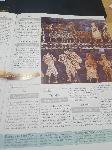 Sách ttinhf bày đẹp
In hình đẹp
Giấy bóng và phông chữa nhỏ rất khó đoc
Nét chữa mỏng, không phù hợp với lứa tuổi học sinh vì làm hư mắt.