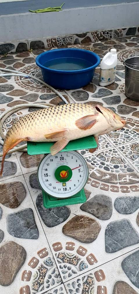 chất lượng sản phẩm cũng ok mỗi tội hơi nặng một xíu mong nhẹ hơn