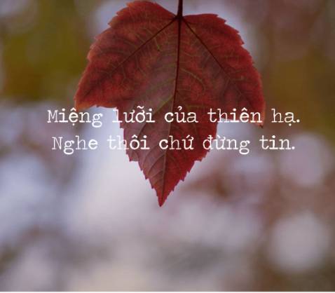 Giặt sạch, mùi hương dễ chịu, hạn sử dụng xa. Nói chung là OK