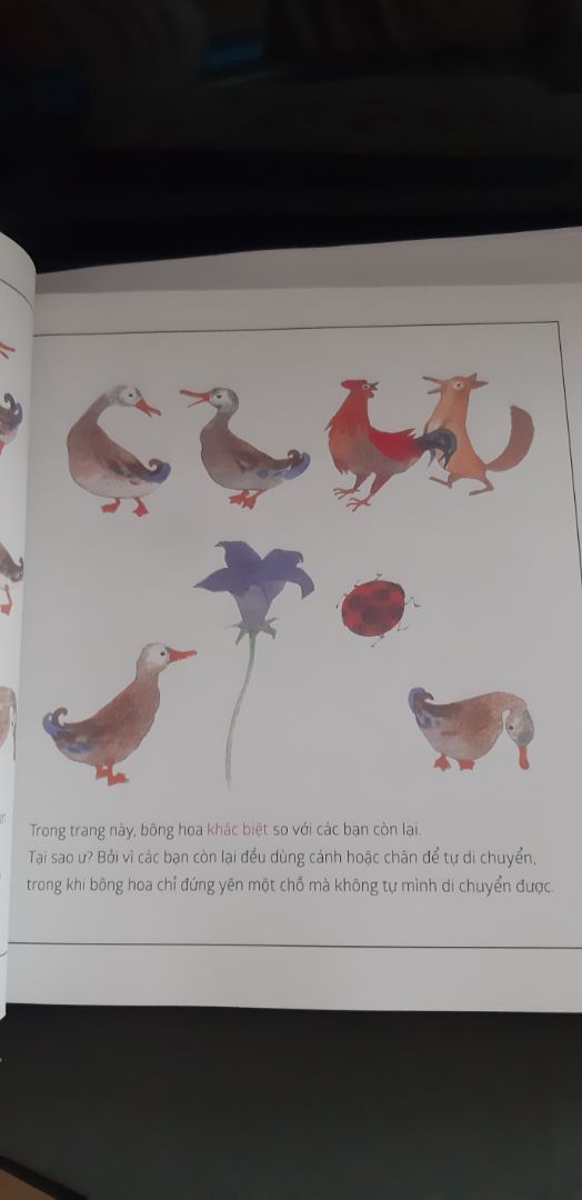 Về nội dung sách thì mình không có gì để chê : những câu chuyện về toán học rất gần gũi xung quanh mình mà nhiều khi mình không để ý đến. Nói chung là sách rất hay!