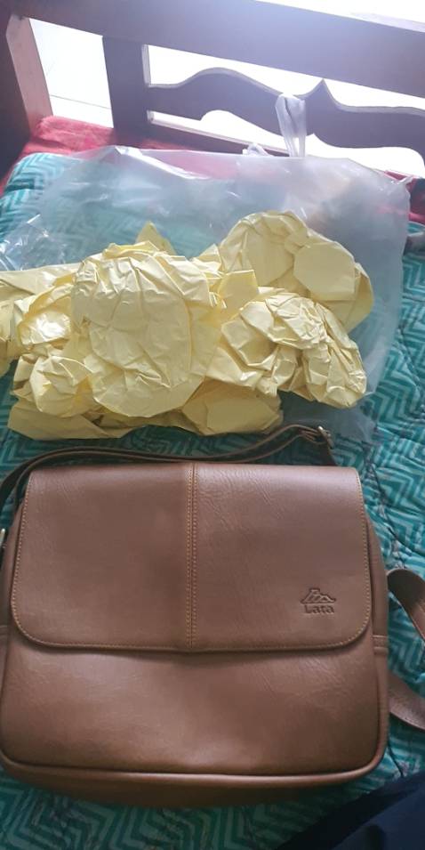 Thiết kế giống hình đẹp, chất lượng, Thiết kế giống hình đẹp, chất lượng,