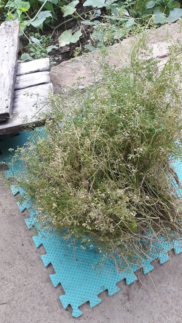 sản phẩm đẹp, giao hàng nhanh