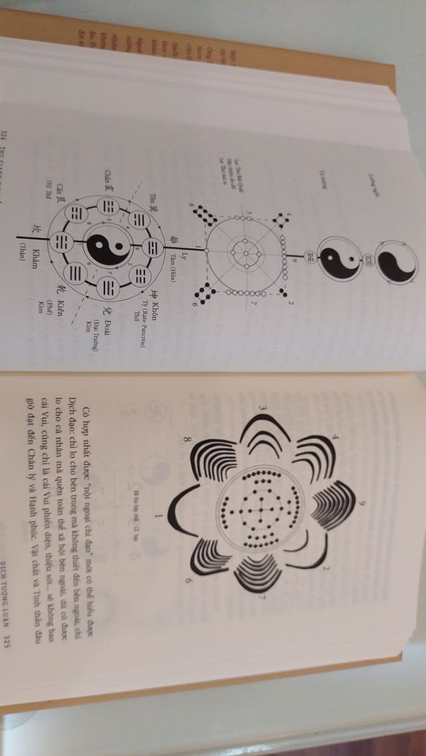 Khó nhất trong dịch học không phải ở lời mà ở tượng số. Dịch tượng luận chú trọng phân tích và bình chú phần tượng của kinh dịch.
Tử vi bí kiếp trong khi đó thiên về tâm lý học, ứng dụng kinh dịch trong việc tìm hiểu tính cách từng con người cụ thể.