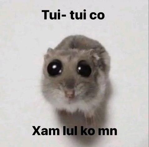 okay lắm