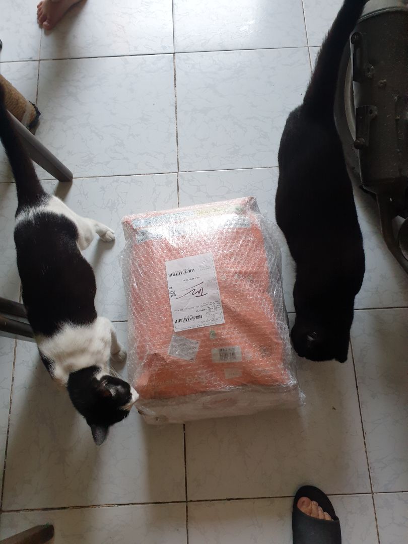 hạt mèo rất thích. shop bán giá rất rẻ so với chỗ khác. cám ơn shop. hàng đúng hãng nguyên bao bì. đóng gói tốt hạt mèo rất thích. shop bán giá rất rẻ so với chỗ khác. cám ơn shop. hàng đúng hãng nguyên bao bì. đóng gói tốt