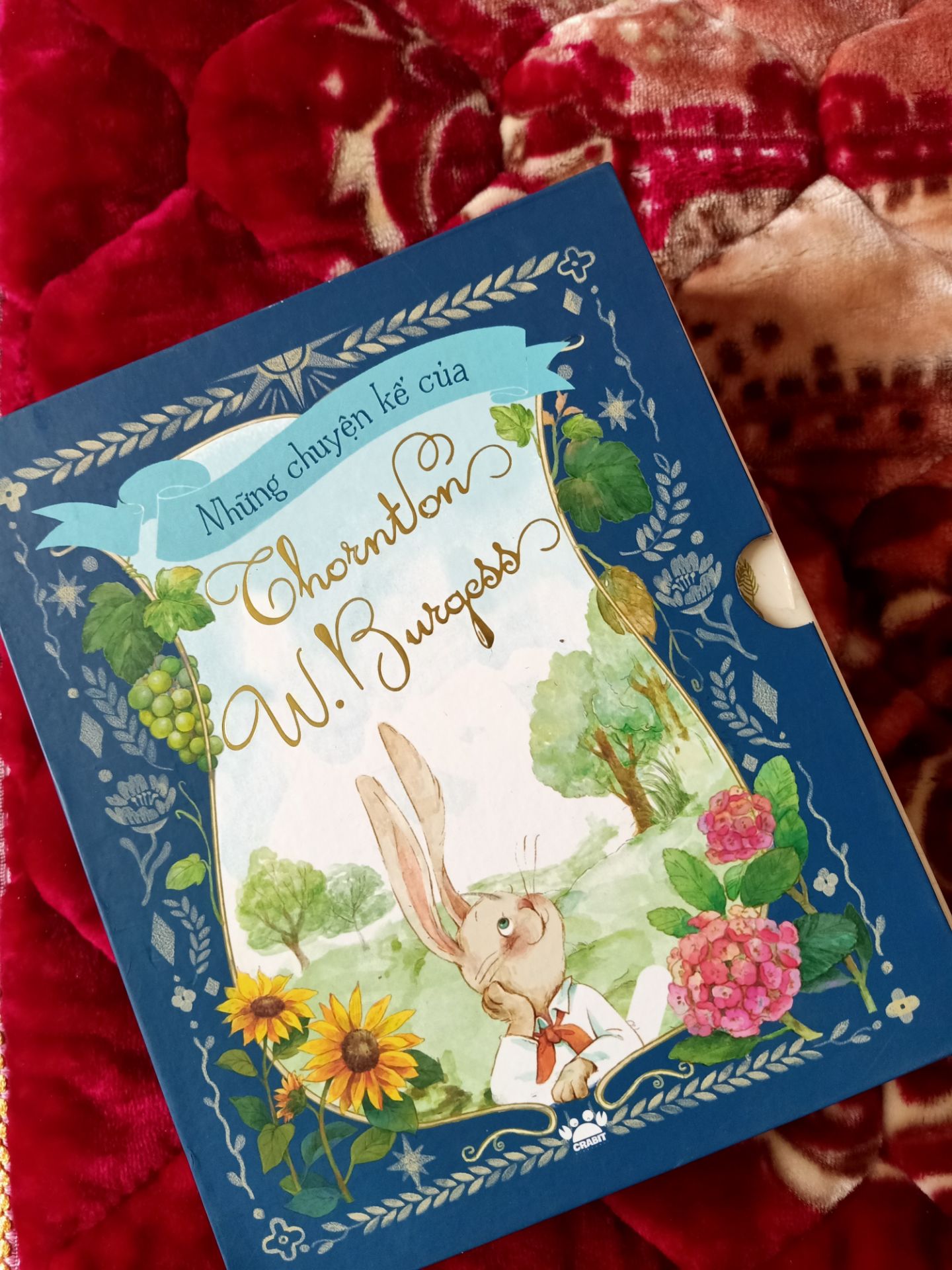 Bìa cứng, đã mua bộ Miền dâu dại nên thấy bộ này là đặt luôn. Hình vẽ siêu dễ thương, cốt truyện nhẹ nhàng. Đáng mua cho một tuổi thơ êm đềm.