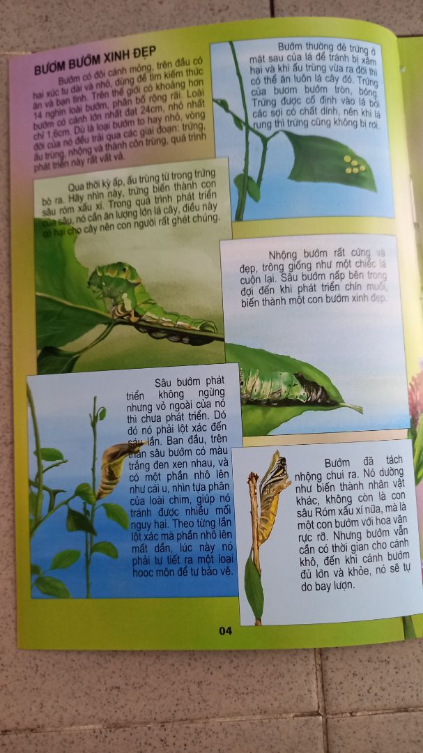 Sách màu đẹp, nội dung dễ hiểu, giúp bé dễ dàng tự học và nghiên cứu, khám phá về mội trường xung quanh.