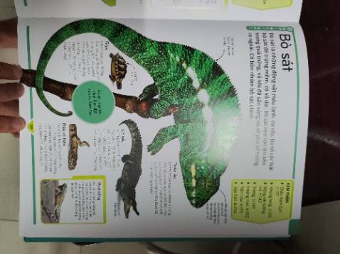 Sách đẹp, mong sẽ có trãi nghiệm tốt cùng con trẻ