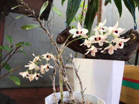 Sách nhỏ xinh nội dung hay như đọc thử