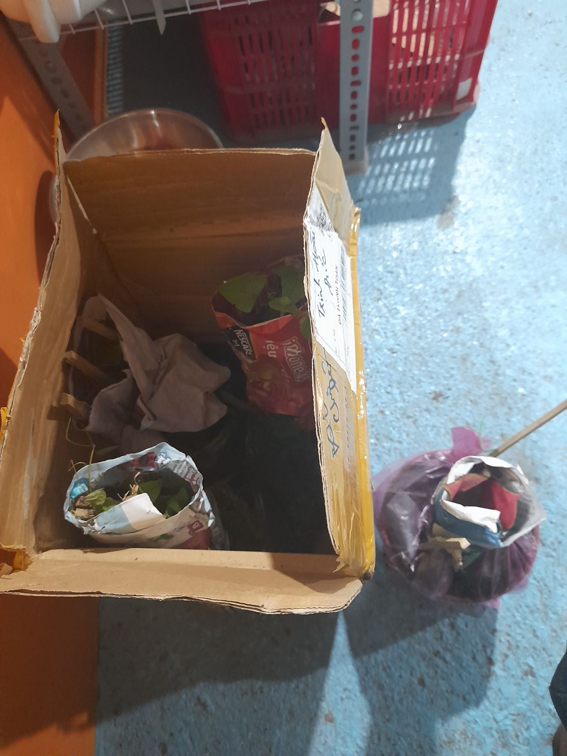 Cây được đóng gói kỹ càng, mình đặt cây thuỷ sinh nhưng chắc do vận chuyển đường xa nên shop để vào chậu đất. Shop tư vấn nhiệt tình, giao hàng nhanh chóng.