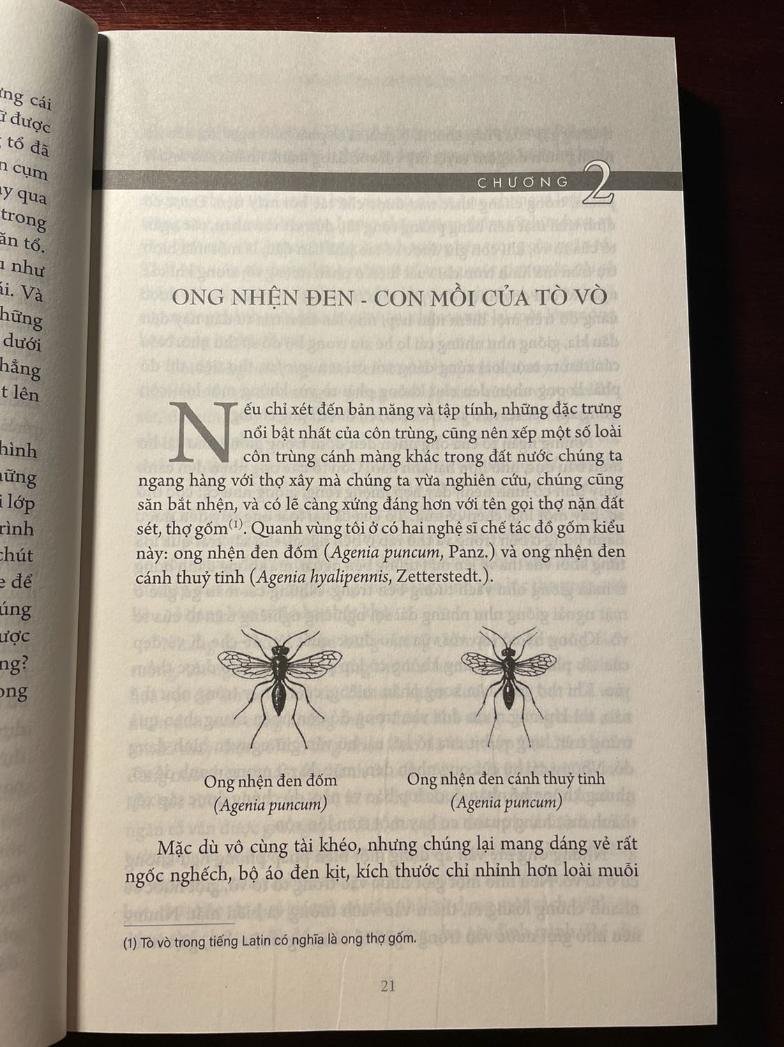 Bộ này đọc rất thú vị vì như lời kể chuyện vậy. Phần này chủ yếu nói về ong.
Tuy có vẻ dành cho trẻ em nhưng có lẽ phải tầm 9, 10 tuổi mới đọc cuốn này được vì quá dài cho lứa nhỏ hơn.