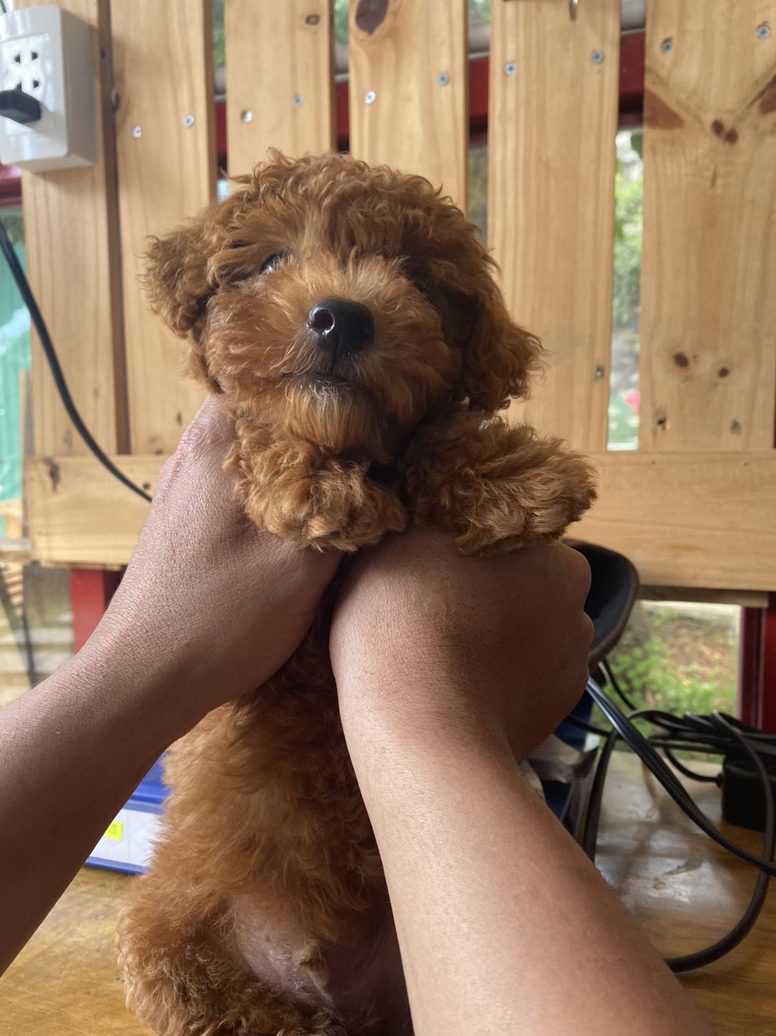 Hohihihihohohohi hàng ok nha