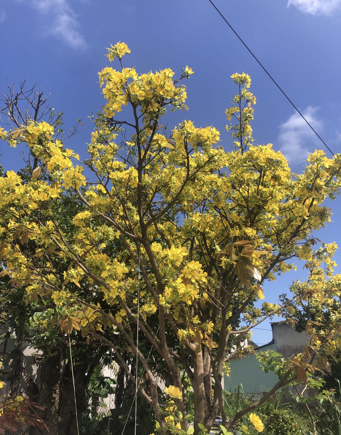 24 kí tự 24 kí tự 24 kí tư