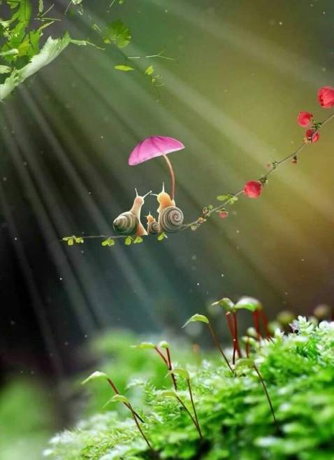 Chất liệu khá ổn thấm hút mồ hôi tốt , mặc rất dễ chịu