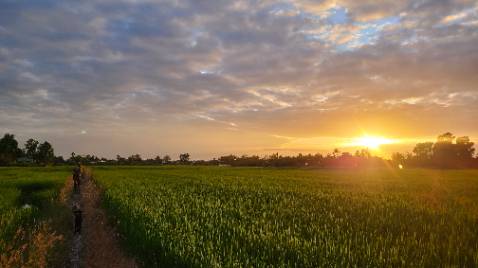 Dễ hiểu , rõ ràng mạch lạc