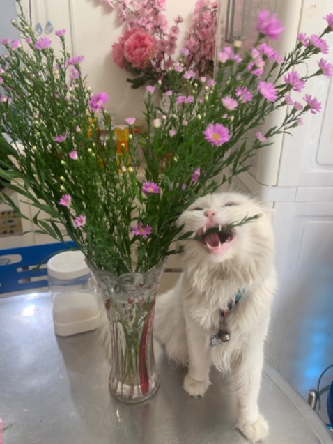 Cafe thơm,vị đậm đà,hài lòng sp này