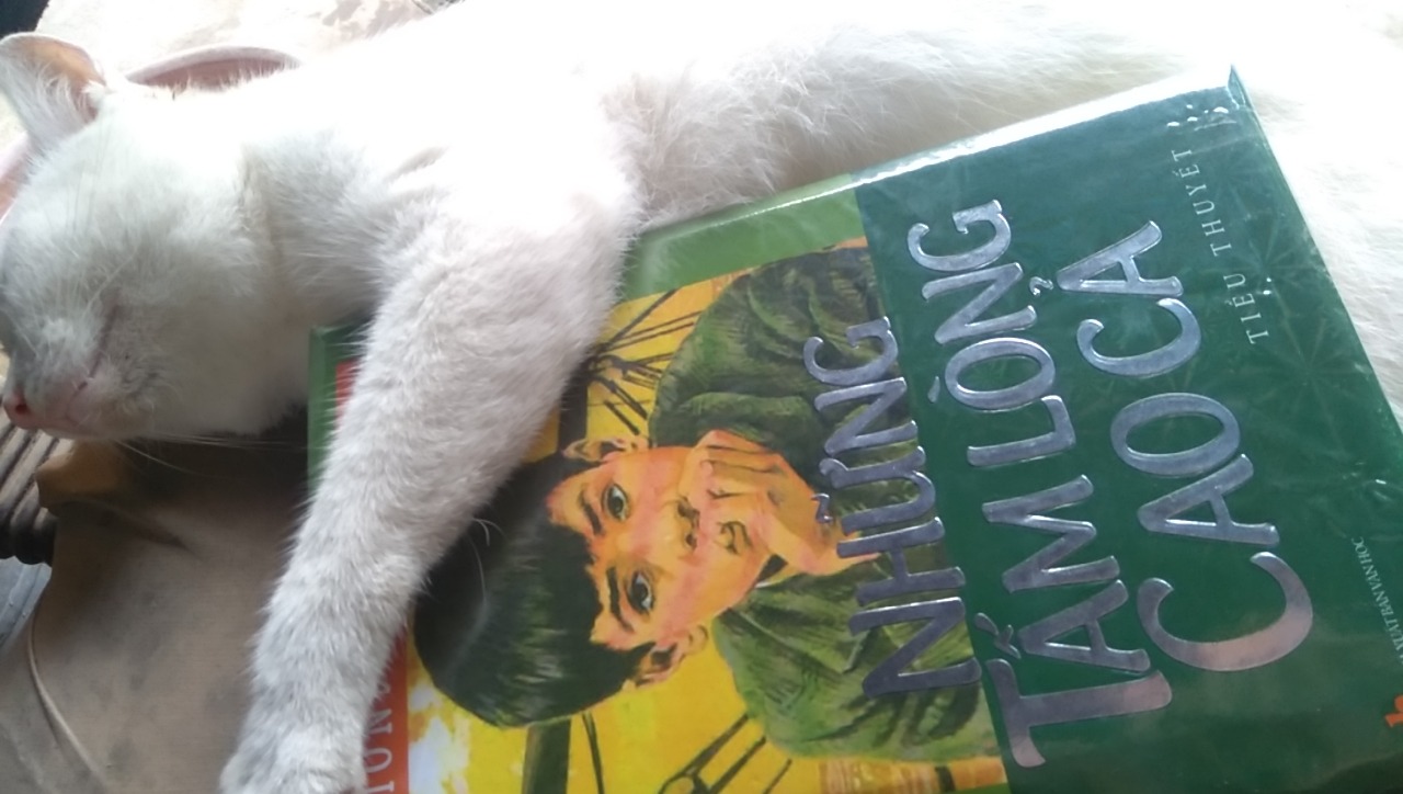 1. Hình thức: sách khổ lớn nhưng chất liệu giấy nhẹ, mình cầm không thấy mỏi tay.
2. Bìa cứng, đẹp.
3. Nội dung: Sách bắt đầu từ tháng 10 - tháng nhập học cúa HS, 1 cậu bé người Ý, từng tháng, từng tháng cho đến tháng 7 nghỉ hè.
Mỗi câu chuyện là trải nghiệm của cậu bé về cuộc sống hằng ngày.