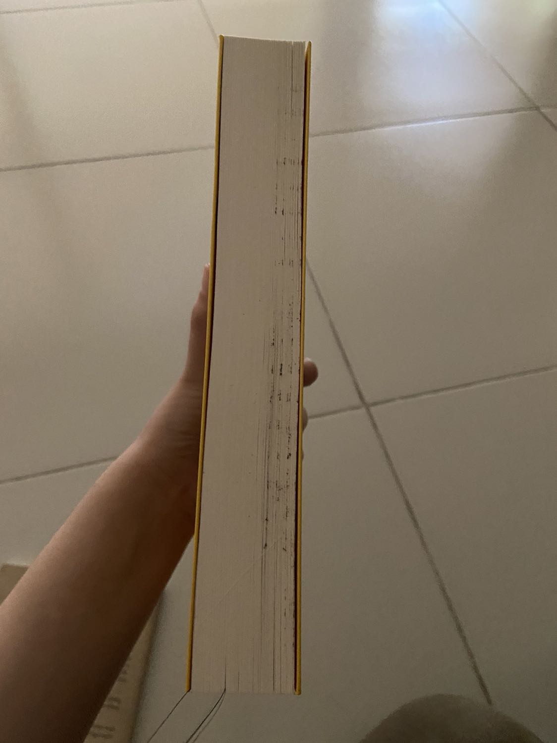 Lần mua này mình khá thất vọng với Tiki, tuy giao nhanh nhưng mua 3 quyển thì cả 3 đều bị cong bìa, gập gãy gáy sách hoặc dính bẩn. 
Sách dày, trình bày đơn giản, kiểu chữ dễ đọc. Mình định mua bản Tiếng Anh nhưng Tiki không có hàng, hơi tiếc (vì mình thấy các đầu sách khác cùng tác giả Tiki đều có bản tiếng Anh).