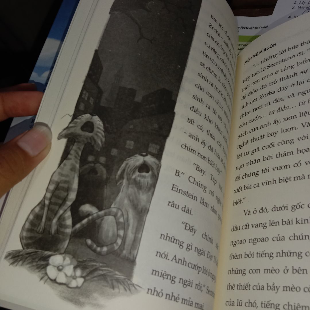 giao hàng nhanh nhưng mà đóng gói không có bọc kính và bọc chống sốc nhưng cũng chấp nhận được. sách bìa cứng có hình minh họa nên rất cuốn hút. mới đọc vài trang sẽ cảm thấy khó hiểu nhưng về sau thì nội dung rất lôi cuốn. 4/5*