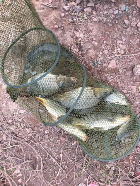 Hạng khá là tốt