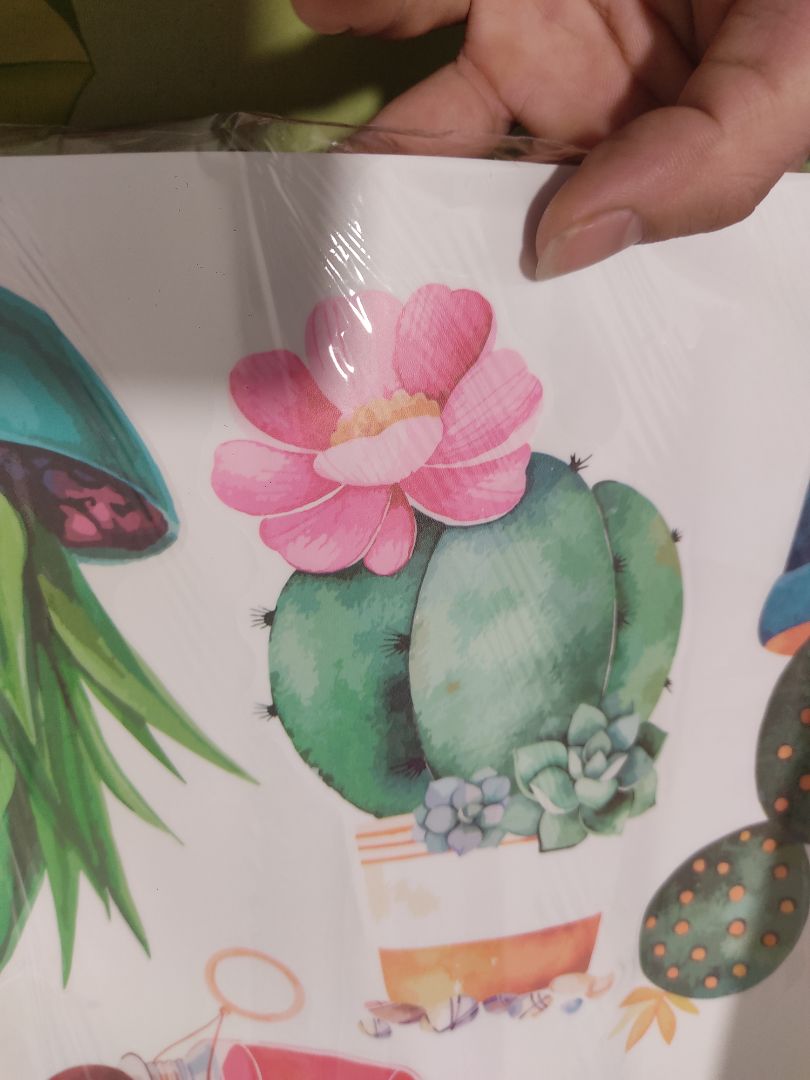 tưởng là giấy dán tường, ai ngờ là sticker dán tường. thất vọng tràn trề