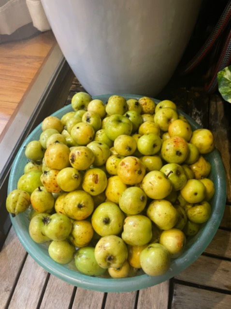 Dùng tốt nên mua