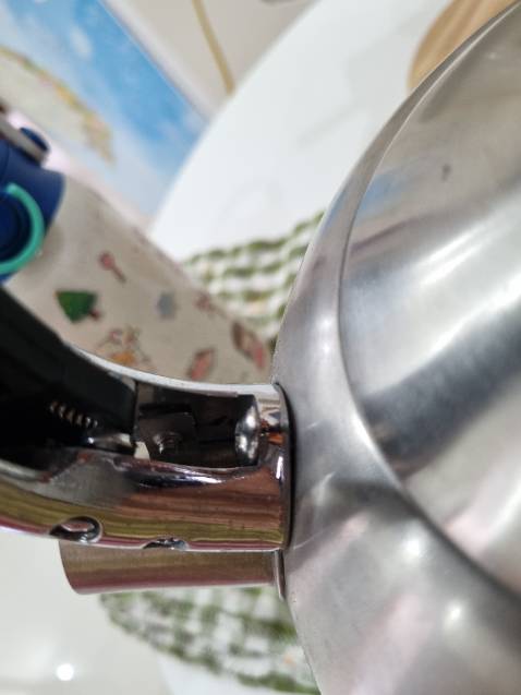 Ấm mình mua giá khá cai so với các ấm inox khác. Gần 600k. Nhưng ấm khá mỏng, nhỏ, quai cầm không chắc chắn, chỉ có 1 con ốc vít bắt vào.
Dùng thời gian để đựng nước đun sôi thôi chứ mình không đun, mà nó rỉ sét quá trời.
Không nên mua ấm này: mỏng, không chắc chắn, inox đểu (bị gỉ).