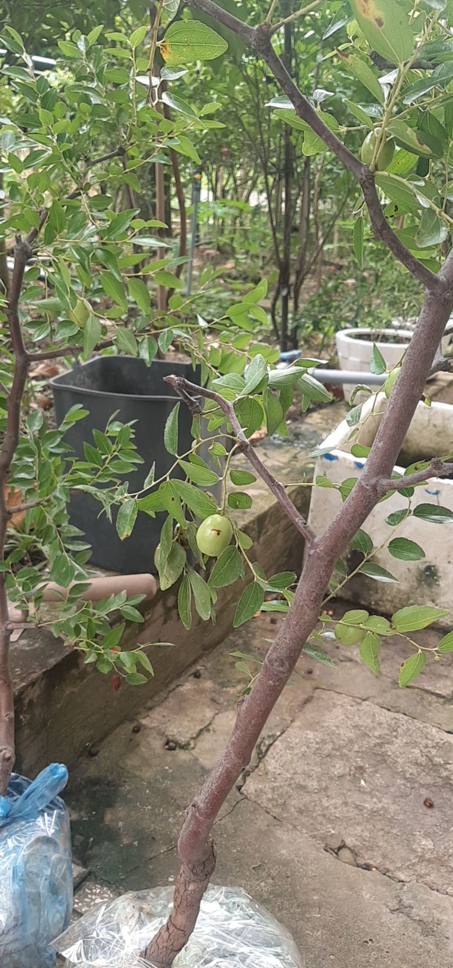 Mình cũng thuộc dạng người mua hàng dễ tính nên mình thấy mọi thứ từ hình thứ gói hàng hay bìa sách, nội dung sách đều tốt cả. Cảm ơn chủ shop nhiều lắm. Không có hình sách ở đây mình lấy hình khác tạm nhé. Nội dung sách mình đọc rất nhanh và rất thú vị vài ngày là gần xong cả quyển sách rồi.