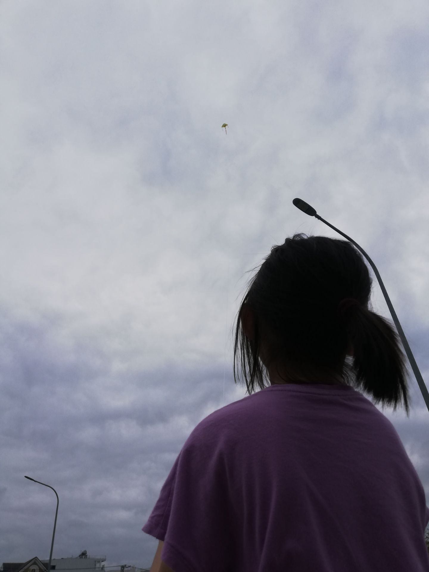 Loại diều này tương đối dễ bay. Hai loại diều này đều phù hợp với người mới bắt đầu. Chúng thường bắt tốt trong điều kiện gió nhẹ đến trung bình, khoảng 6 đến 15 dặm/ giờ.