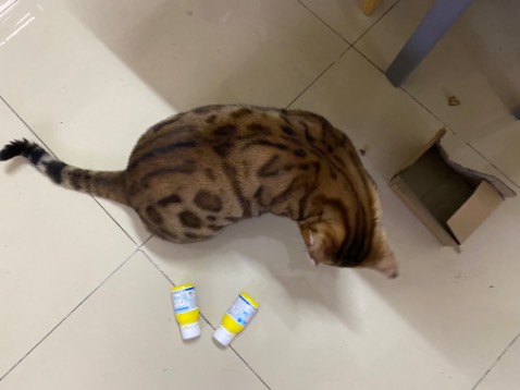 Thuốc diệt kiến 🐜 gián 🪳 này rất hiệu nghiệm, bôi vào các kẽ tủ , kẽ tường …là hôm sau thấy gián 🪳 lăn ra chết như ngả rạ. Date còn xa , tới 01/2024. Thuốc diệt kiến 🐜 gián 🪳 này rất hiệu nghiệm, bôi vào các kẽ tủ , kẽ tường …là hôm sau thấy gián 🪳 lăn ra chết như ngả rạ. Date còn xa , tới 01/2024.