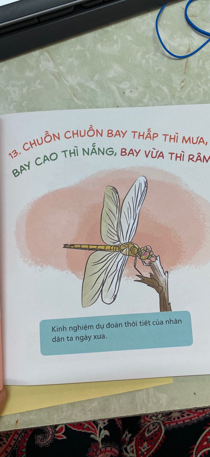 In màu đẹp, chữ to, bé tiếu học luyện đọc tốt