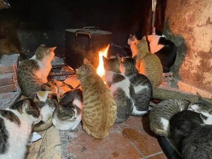 Mua đúng đợt tiki sale được 2 thùng bia cho dịp têt giao hàng nhanh lại có tikinow nữa lại ko mất ship