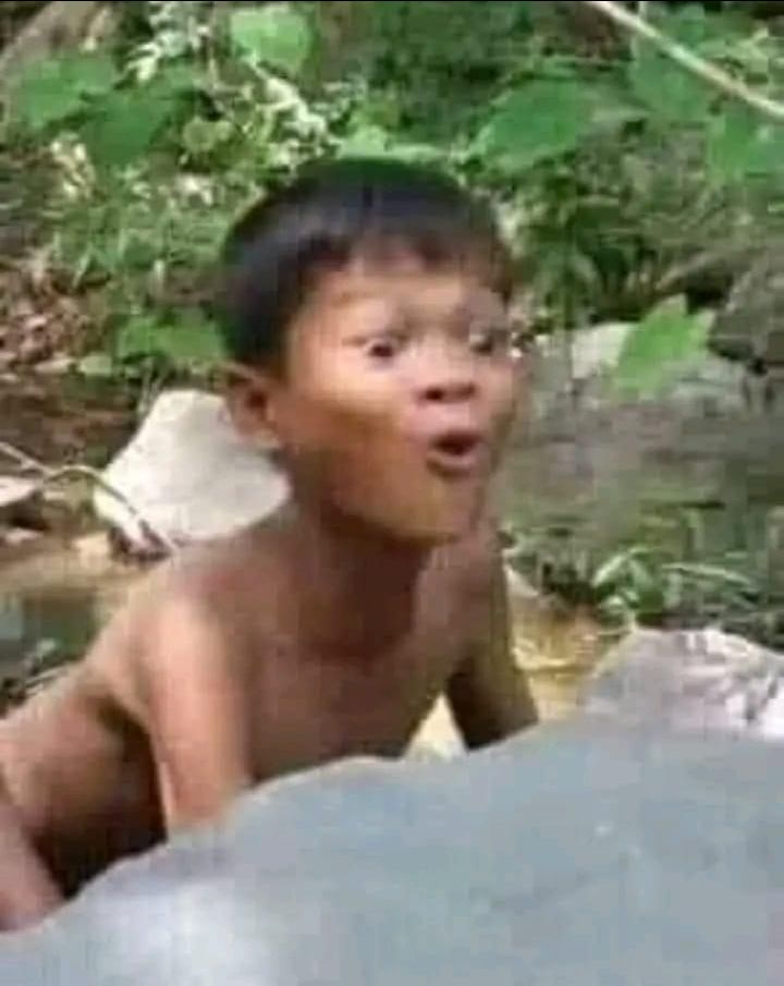 có vẻ tốt có vẻ tốt