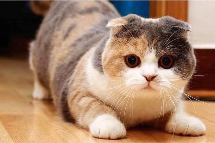 Giao hàng nhanh, sách đẹp, bổ ích!