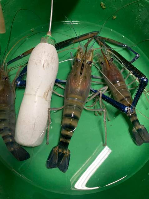 Sản phẩm tốt chất lượng nên mua. ghế đẹp như hình đầy đủ phụ kiện