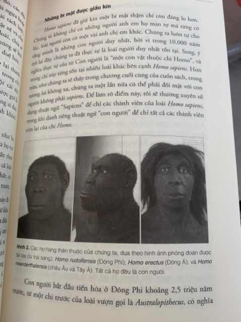 Về bìa thiết kế không đẹp, sử dụng màu dễ dính bẩn khó giữ cho sách mới
Về cách trình bày thì đẹp, sách dày, chữ in rõ ràng cơ mà phải chi in đậm thêm xíu thì quá ok
Về nội dung: 
 Tác giả viết dễ hiểu, đầy đủ ý còn có một số tranh minh hoạ, tuy là sách viết về lịch sử loài ng nhưng k gây nhàm chán khi đọc vote 5*
