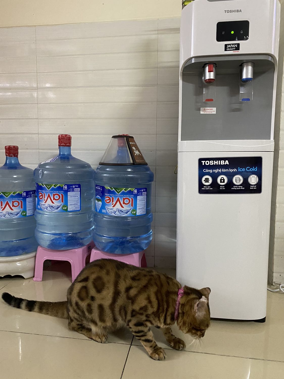 Máy nhỏ gọn, bình chứa nước để ngay bên trong ngăn chứa bên dưới.